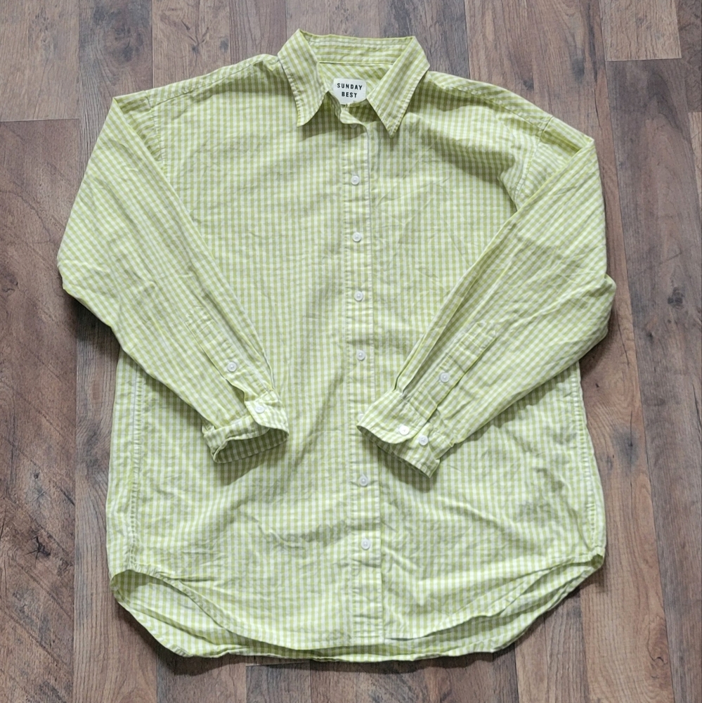 Aritzia Sunday Best Gingham Button Down Shirt